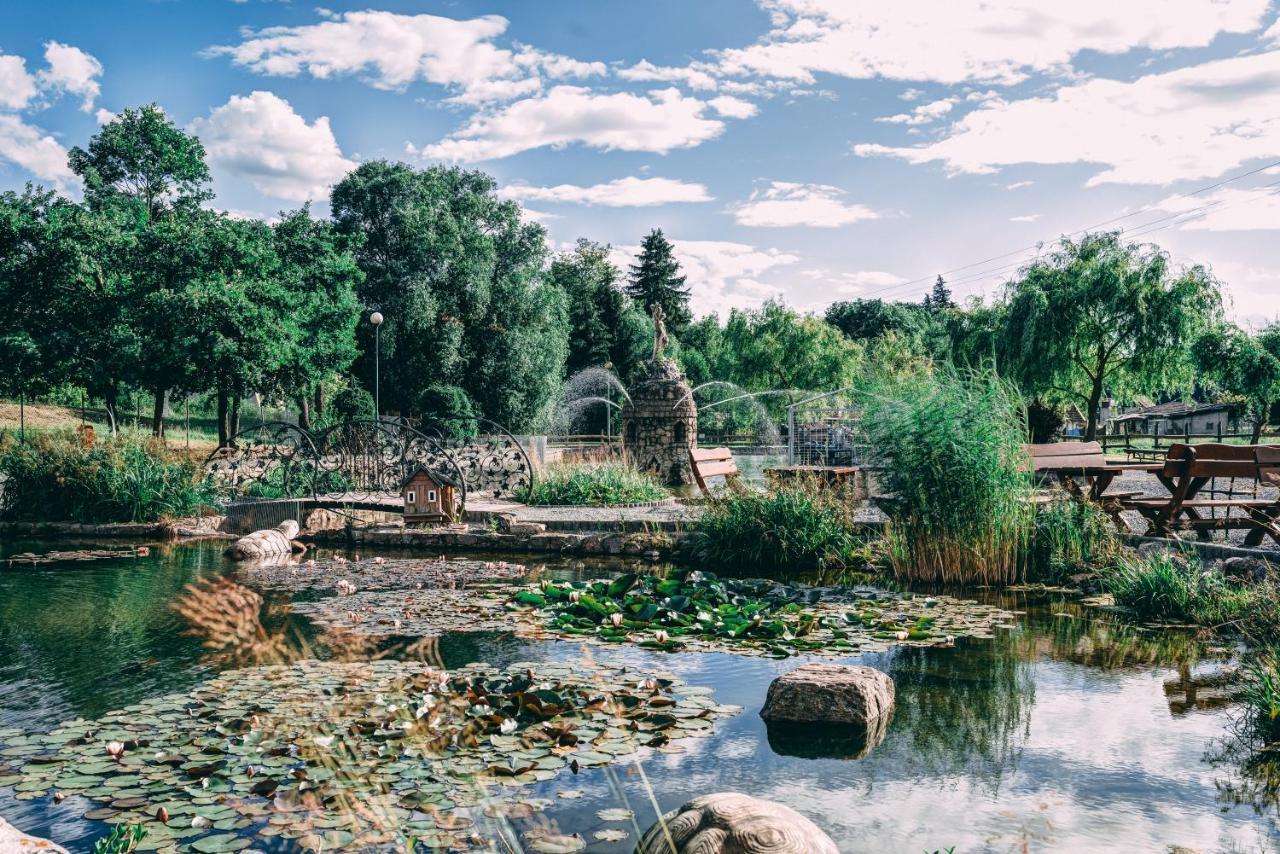 Sudeckie Chaty Kudowa-Zdrój Exteriér fotografie