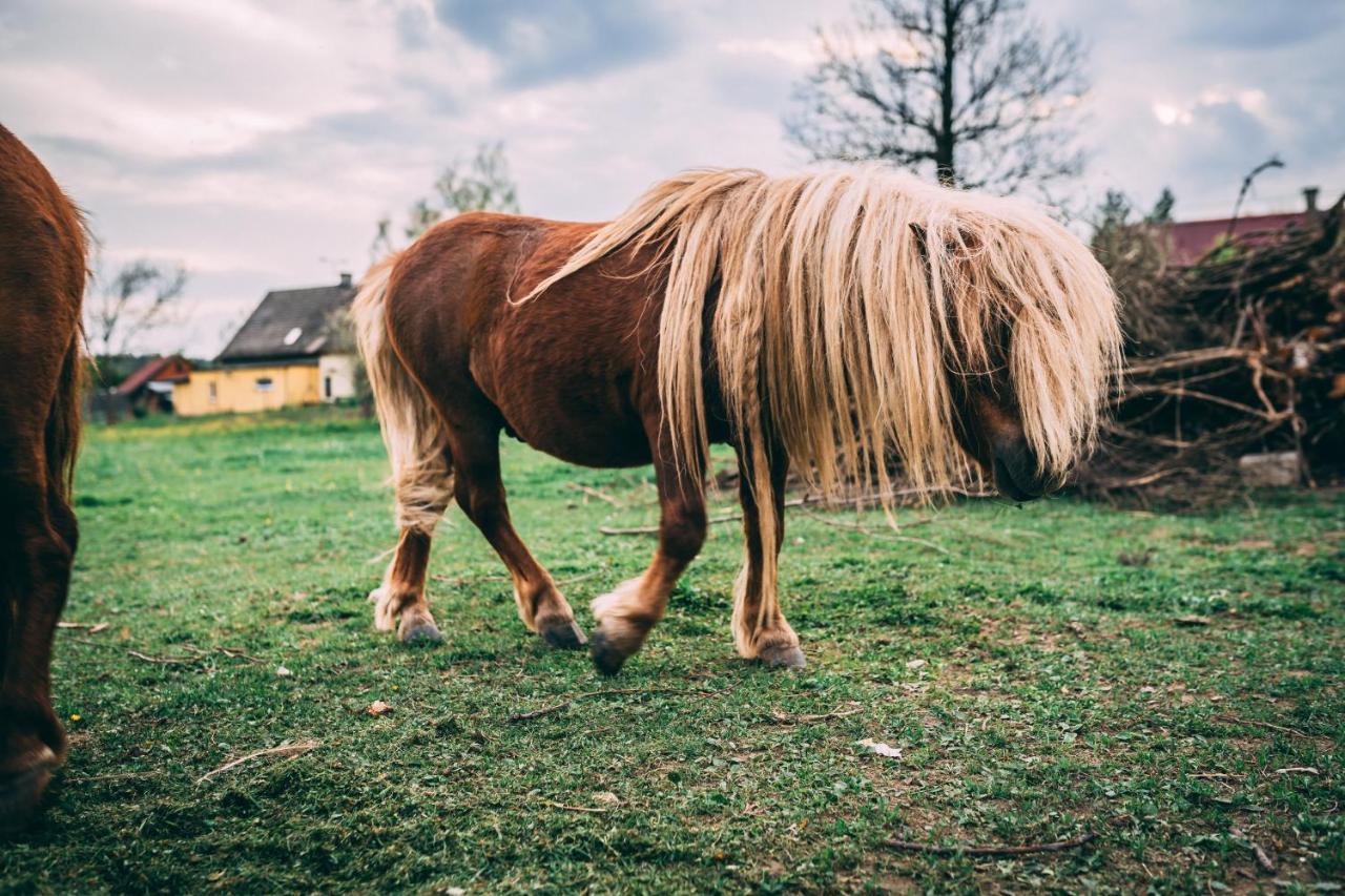 Sudeckie Chaty Kudowa-Zdrój Exteriér fotografie